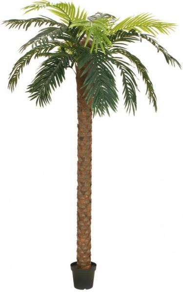 EUROPALMS Phönix Palme deluxe, Kunstpflanze, 250cm