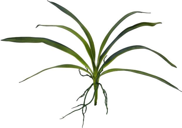 EUROPALMS Orchideenblatt (EVA), grün, 45cm
