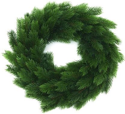 EUROPALMS Tannen-Kranz, PE, 45cm