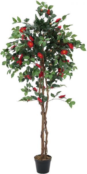EUROPALMS Kamelienbaum rot mit Topf 180cm