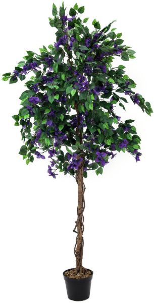 EUROPALMS Bougainvillea, lavendel, 180cm