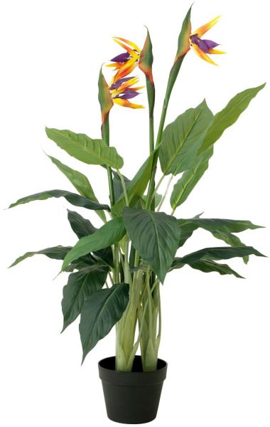 EUROPALMS Strelizie, Kunstpflanze, 90cm