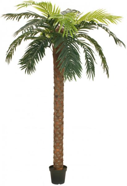 EUROPALMS Phönix Palme deluxe, Kunstpflanze, 300cm