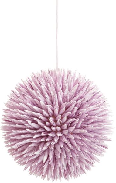 EUROPALMS Sukkulenten Kugel  (EVA), rosa, 20cm