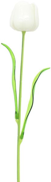 EUROPALMS Kristalltulpe, weiß 61cm 12x
