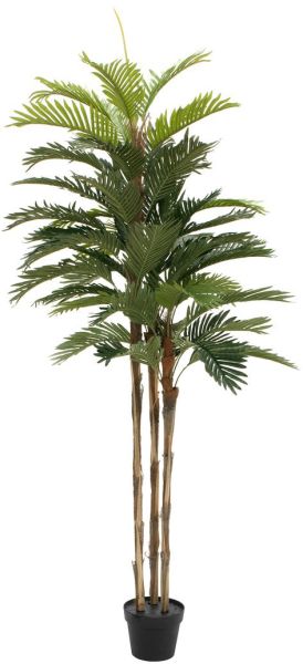 EUROPALMS Kentia Palme, Kunstpflanze, 150cm