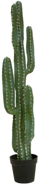 EUROPALMS Mexikanischer Kaktus, Kunstpflanze, grün, 123cm