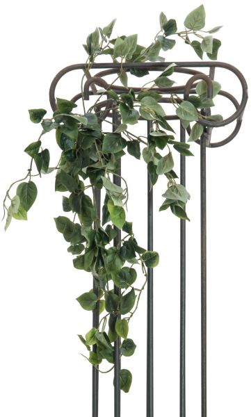 EUROPALMS Philodendronbusch Classic, 60cm