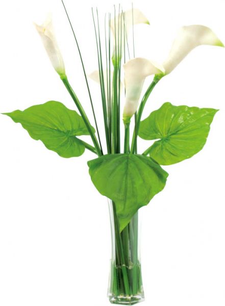 EUROPALMS Calla im Glas, 64cm