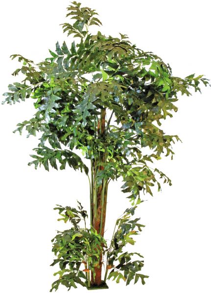 EUROPALMS Fishtail-Palmbaum, 305cm