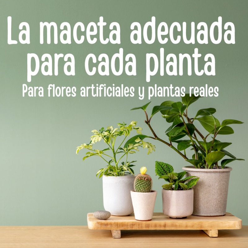 https://www.dekotopia.de/es/macetas/