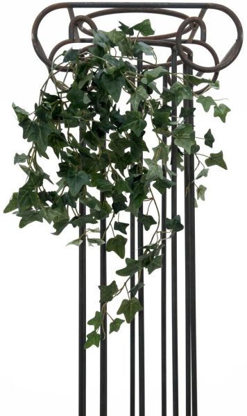 EUROPALMS Efeubuschranke Classic, 60cm