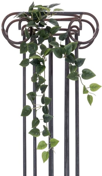 EUROPALMS Philodendronbusch Classic, 70cm