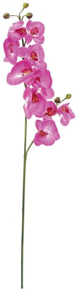 EUROPALMS Orchideenzweig, lila, 100cm
