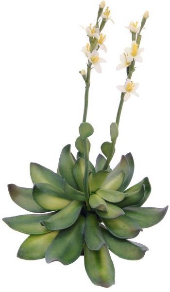 EUROPALMS Steinrose (EVA), gelb, 32cm