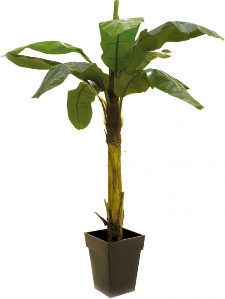 EUROPALMS Bananenbaum, Kunstpflanze, 210cm