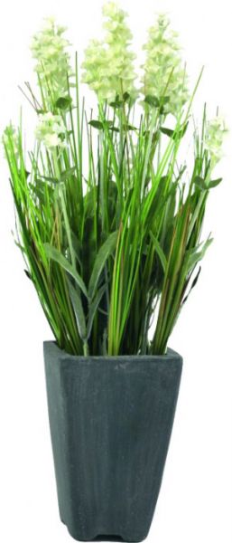 EUROPALMS Lavendel, cremefarben, im Dekotopf, 45cm