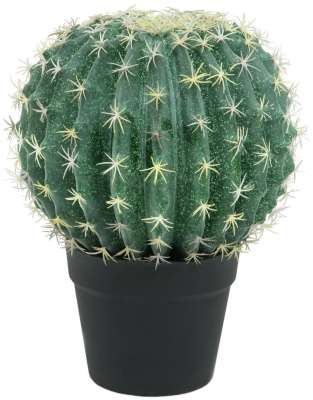 Desert flair thanks to artificial cacti