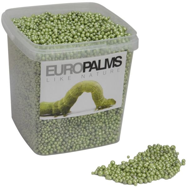 EUROPALMS Blähton-Kugeln, limette, 5,5l Eimer