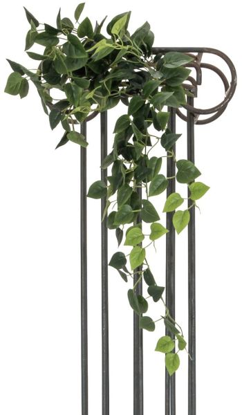 EUROPALMS Pothosbuschranke Classic, 100cm