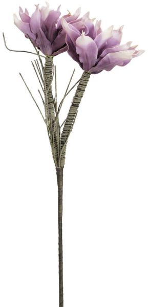 EUROPALMS Magnolienzweig (EVA), violett