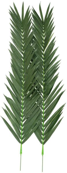 EUROPALMS Kokos-Königspalmwedel, künstlich, 210cm
