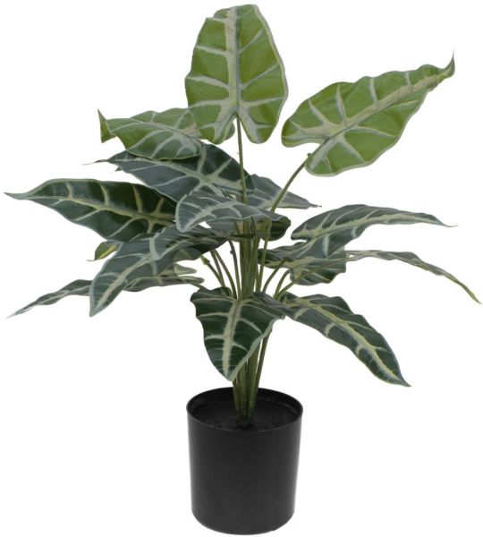 EUROPALMS Caladium, Kunstpflanze, 38cm