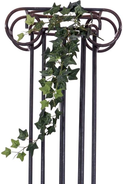 EUROPALMS Efeubuschranke Classic, 70cm