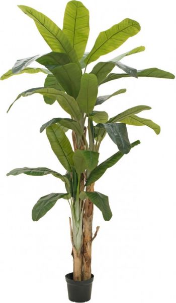 EUROPALMS Bananenbaum, Kunstpflanze, 240cm