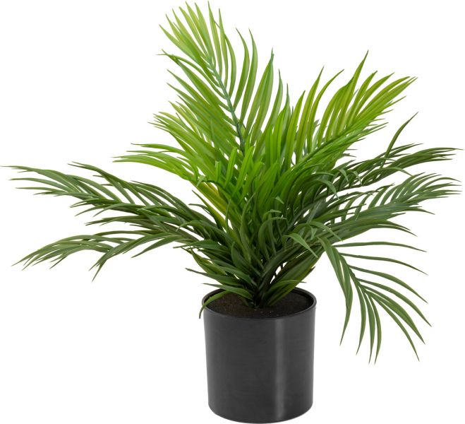 EUROPALMS Goldfruchtpalme, Kunstpflanze, 46 cm