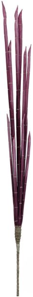 EUROPALMS Magic Zwiebelrohr, rosa, 134cm