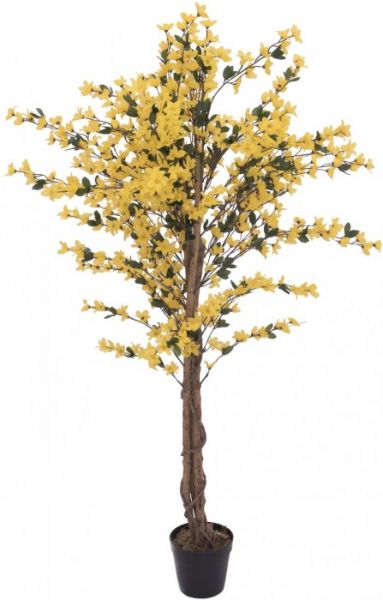 EUROPALMS Forsythienbaum mit 4 Stämmen, gelb, 150 cm