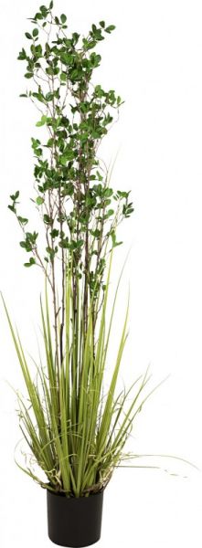 EUROPALMS Immergrünstrauch mit Gras, Kunstpflanze, 182 cm
