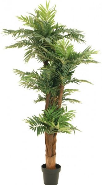 EUROPALMS Areca Palme, Kunstpflanze, 170cm