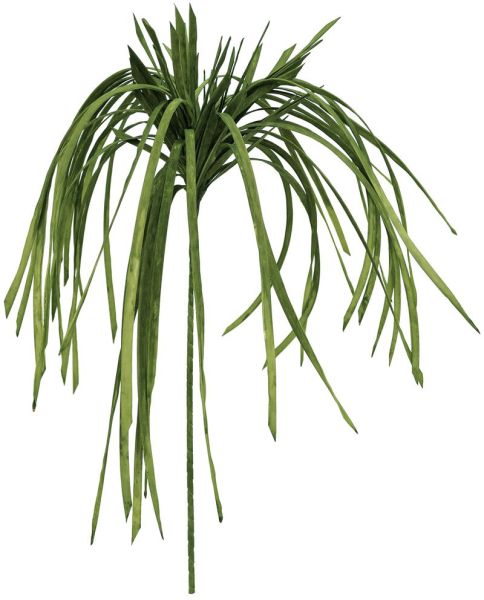 EUROPALMS Seegras (EVA), grün